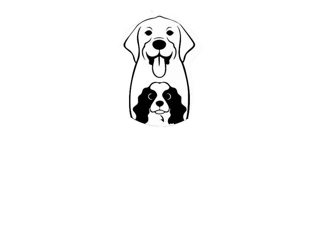 Integração Pet